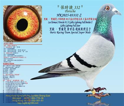 WRXr(sh)911 Xwȣ׸XwȣW늽