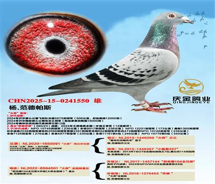 .˹󱼡ֵx󱼡ȫֱŮ