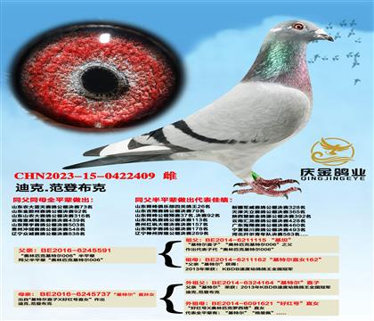 Wƥ˻ؠ006ƽ݅xؠֱOŮ