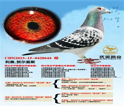 W.ՠ˹ֱxֱOŮ