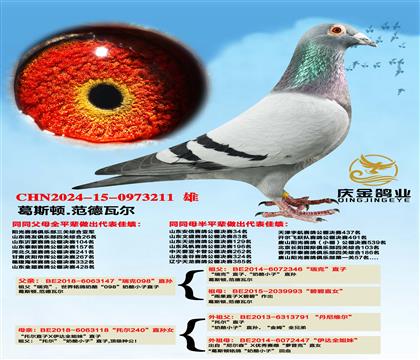 ˹D.ߠ098ֱOxР240ֱOŮ