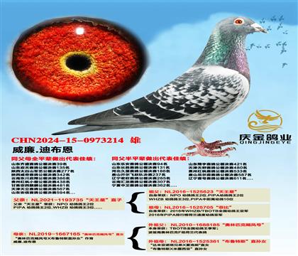 .ϲǡֱxWƥZL(fng)ֱ̖Ů