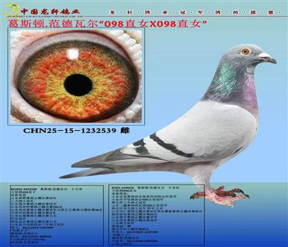 ���ٱ�Ѫ����˹�D�����ߠ�����098��Ѫ