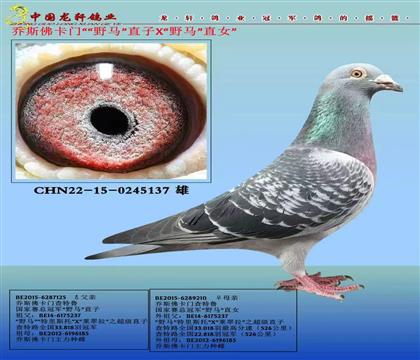 ɽ�^(q��)�D�yِ�¿��ǣ���˹���TҰ�R̖��݅�ֽ��H��Ѫ