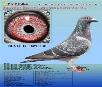 ���������������ϲ���ī�ƶ���ֱ��X�Z�L(f��ng)ֱ̖Ů