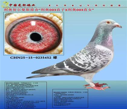 ���L���x�ٶ���ϵ�����W�R����˹003��݅�ֽ��H��Ѫ