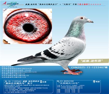 ����.�ϲ������W��ƥ���Z�L(f��ng)ֱ�ӡ������o(w��)��̖(h��o)ȫƽ݅��