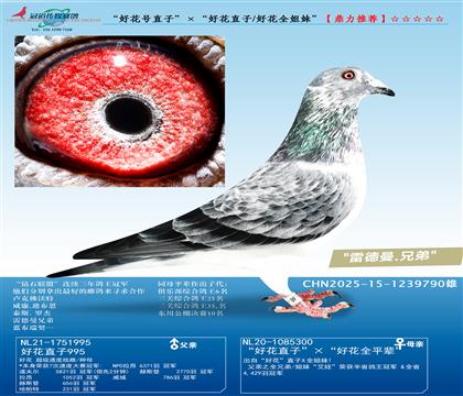 ���û�̖(h��o)ֱ�ӡ������û�ֱ��/�û�ȫ���á�