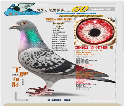 ���ء�������