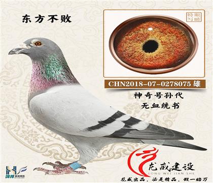 �|������