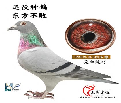 �|������