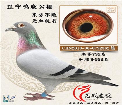 �|������