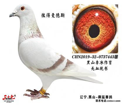 �˵�����˹