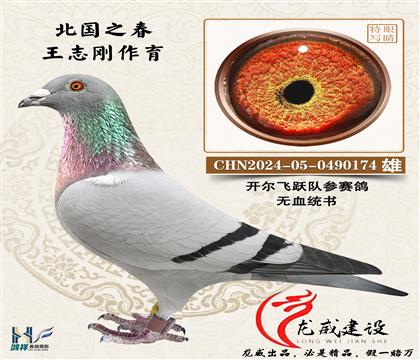 ����֮����־��