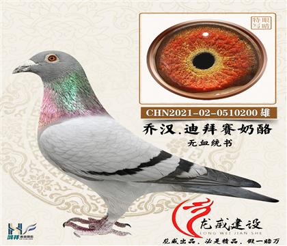 ��ِؐ����