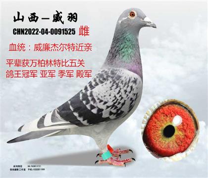 �����ܠ��ؽ��H