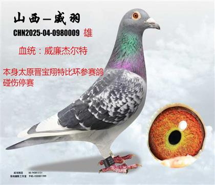 �x�����ر������ܠ���