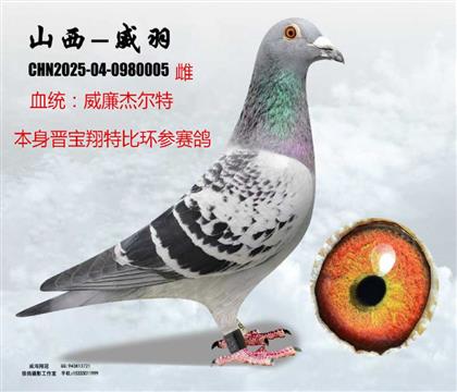 �x�����ر������ܠ���