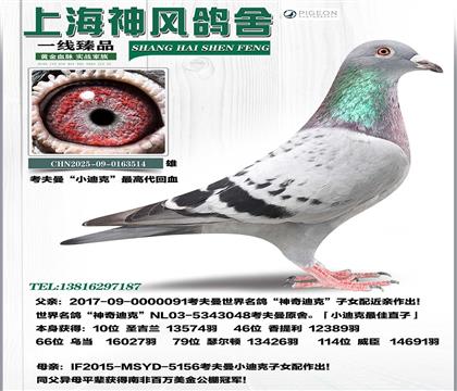 ��ߴ�������С�Ͽ�