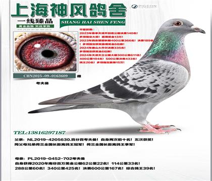 ���������m����x�������Ϸ�39��