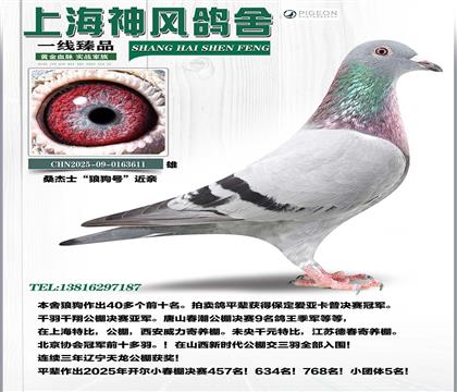 ���ǹ���Ů��Ѫ