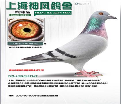 �Ϸ�33��ֱŮxֱ�O