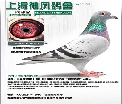 �ʼ{˹�`��33x������������܊