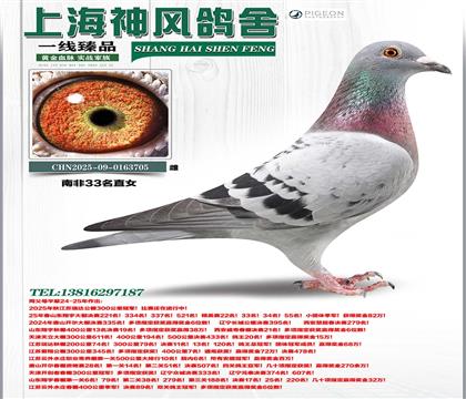 �Ϸ�33��ֱŮ