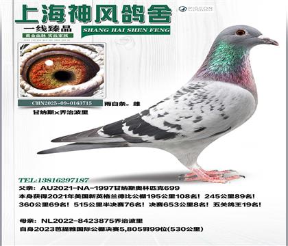 �ʼ{˹�±ȹ���8��ֱŮ