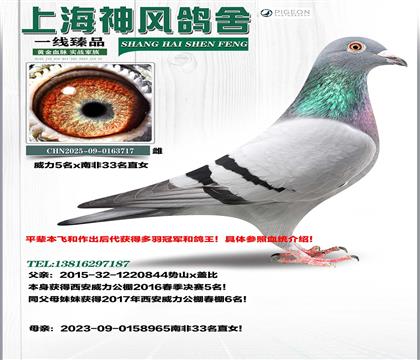 ����5��x�Ϸ�33ֱŮ