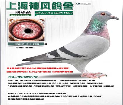 �ʼ{˹������������܊x������24��