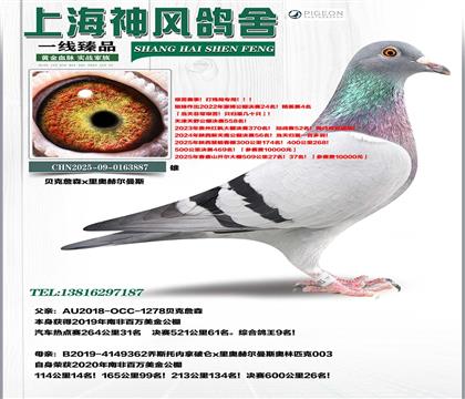 �Ϸ�9��x�Ϸ�26��