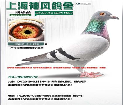 �Ϸ�48��x�Ϸ�36��