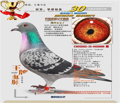 ���ٷ�ƿ˴�