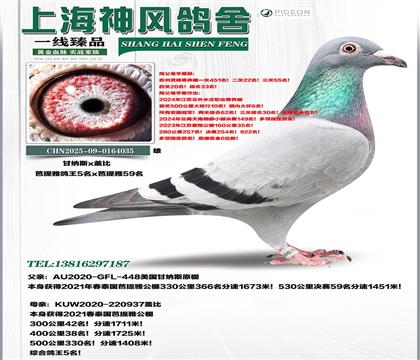 �ʼ{˹59��x����������5����