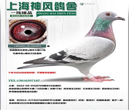 ��Ʒ��������������܊x����17��