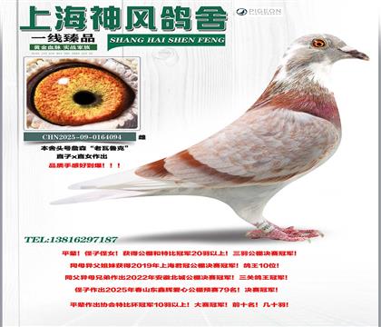 �������܊����������Ů����