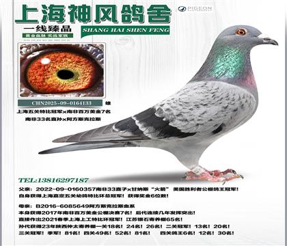 �Ϸ�33�O�Ϻ����P(gu��n)��܊x�Ϸ�7��