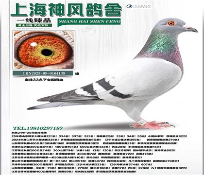 �Ϸ�33����Ů��Ѫ