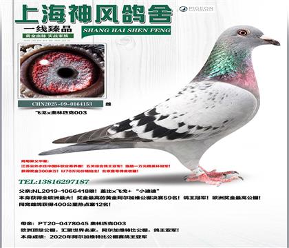 �����ӾS������܊x������܊