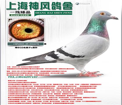 �Ϸ�33��ֱ��x�Ϸ�33���OŮ