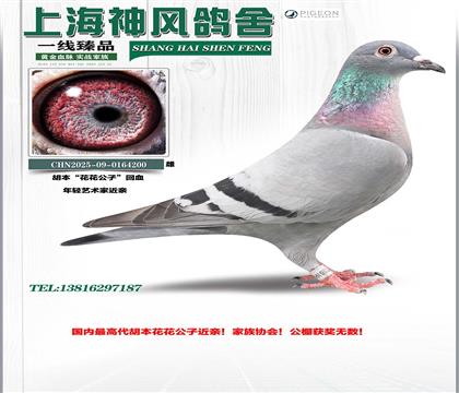 �^������������ӽ��H