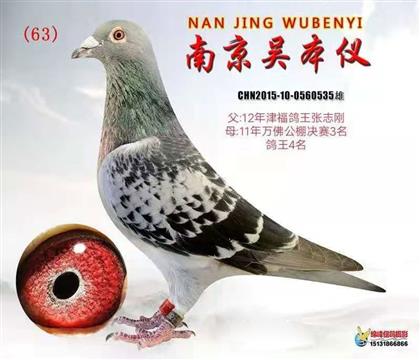 �Ͼ��Ǳ��x535