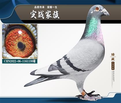 Ӣ��˹178��ĸ��������