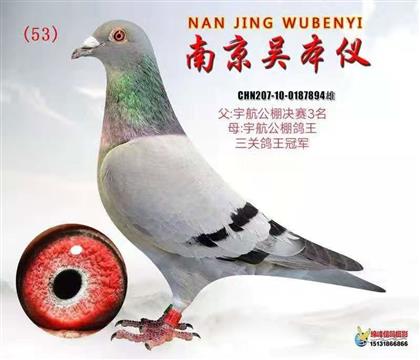 �Ͼ��Ǳ��x894