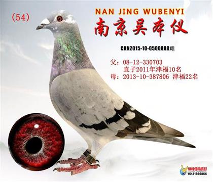 �Ͼ��Ǳ��x888