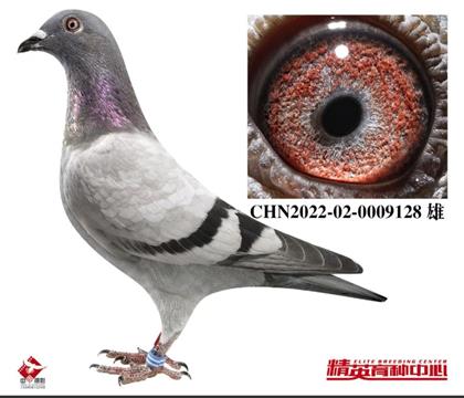 �W(li��n)���w�Ȱ׸�̖���H��Ѫ128