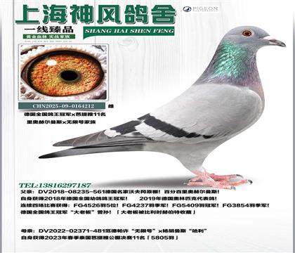 ��(gu��)ȫ��(gu��)������܊x�o(w��)��̖(h��o)11��