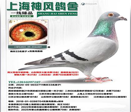 �Ϸ�33��ֱ��x�Ϻ����ڛQِ��܊