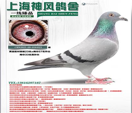 �S���䌦(du��)����23��x�Ϸ�57��